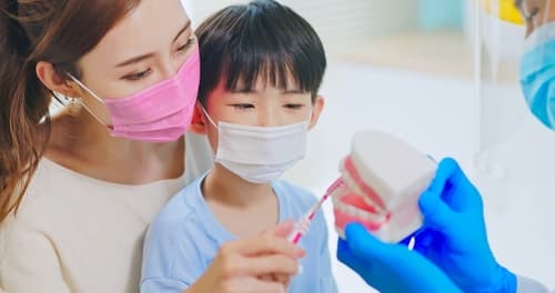 牙縫刷全面指南:香港牙醫如何挑選最適合的牙縫刷?
